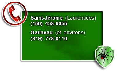 Saint-Jérome, Gatineau, Laurentides, Outaouais
